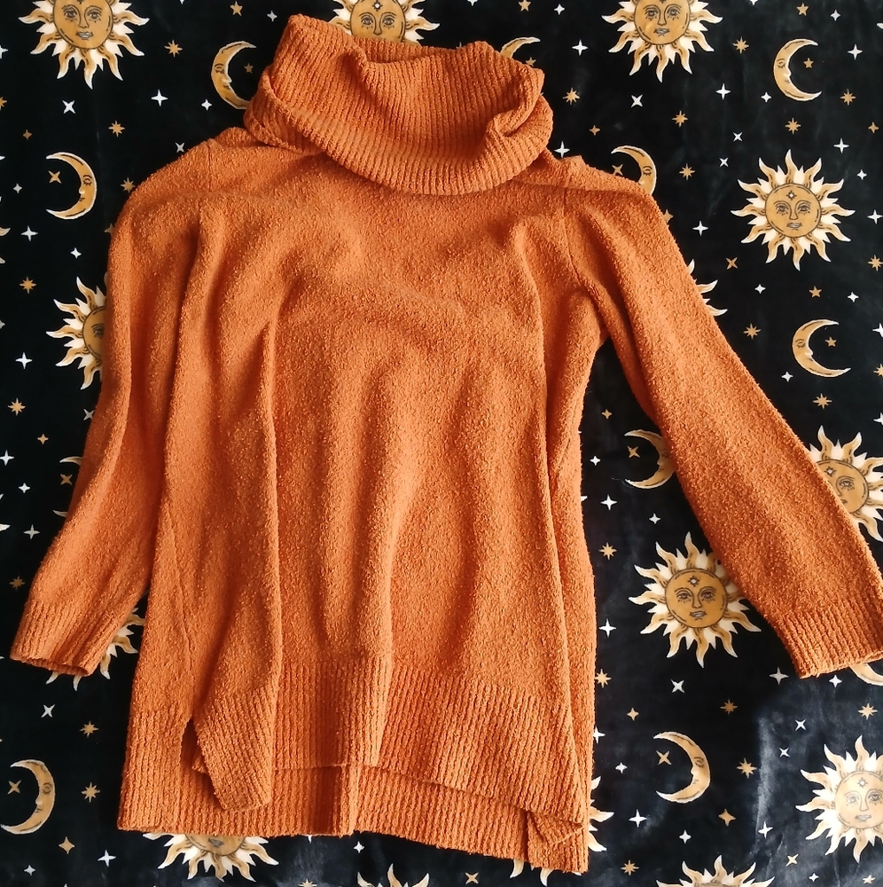 Joan Rivers Size XL Plush Spice Cowl Neck Sweater Dress
